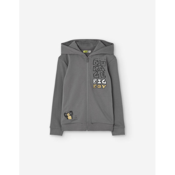 PK6 JACKET HOODIE FLEECE GREY 2-7Y