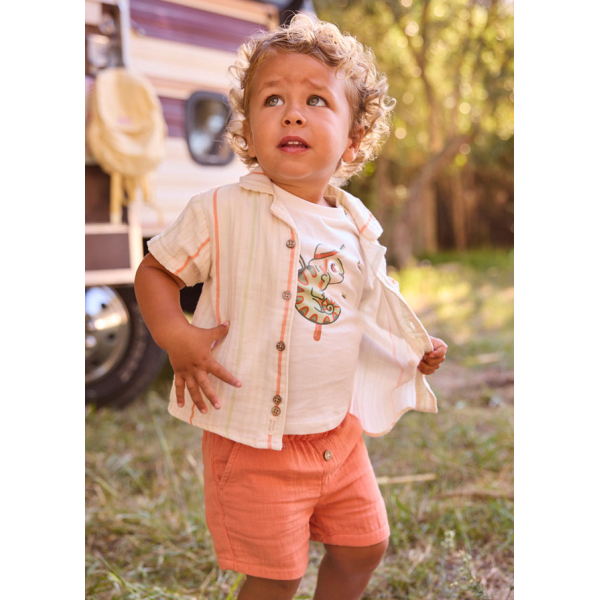 Βερμουδα γκοφρε