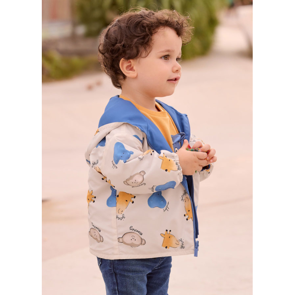 Αντιανεμικο αναστρεψιμο