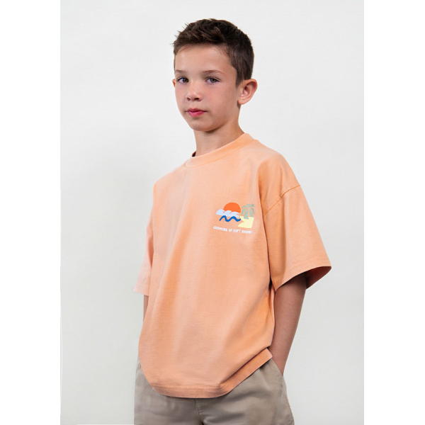 Μπλουζα κοντομανικη