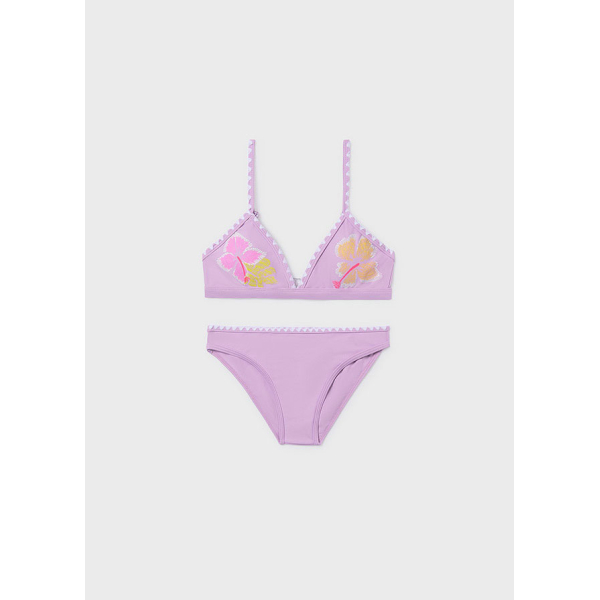 Μπικινι τριγωνο σχεδιο